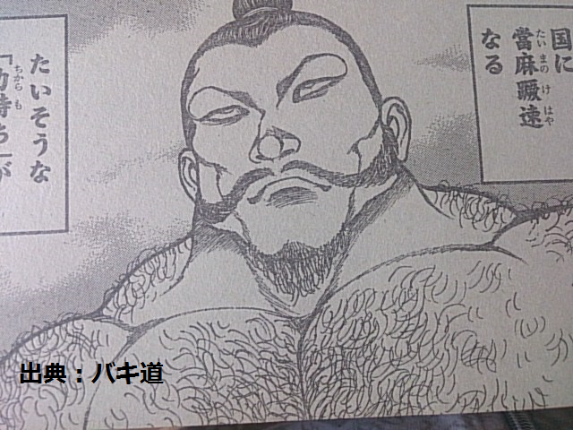 バキ道 當麻蹶速 たいまのけはや のプロフィール 登場人物 バキ道 當麻蹶速 たいまのけはや のプロフィール 登場人物