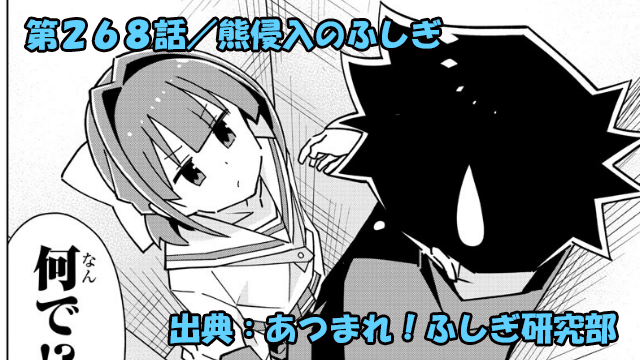 あつまれ！ふしぎ研究部 ネタバレ感想 268話 「熊侵入のふしぎ」