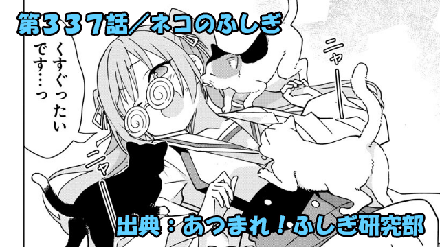 あつまれ！ふしぎ研究部 ネタバレ感想 337話 「ネコのふしぎ」