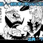 ワンピース ネタバレ感想 第1169話／ハラルド王の悲劇！！王殺しの真相・・・！！