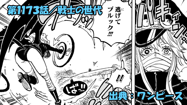 ワンピース ネタバレ感想 第1173話／ブルックの叫びに軍子反応！シュリ姫なのか！？