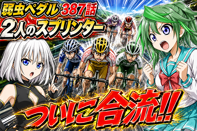 弱虫ペダル ネタバレ感想 387話「2人のスプリンター」青八木と鏑木の合流に涙!